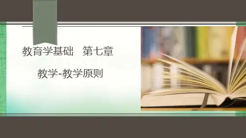 教育学-教学原则PPT演示幻灯片