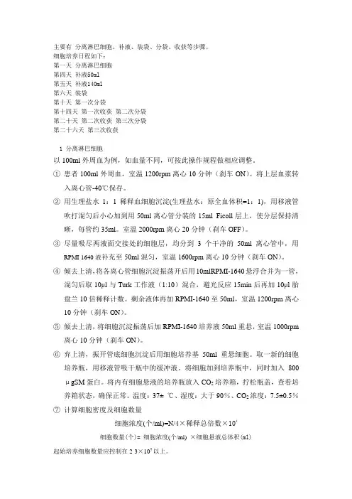 T细胞培养