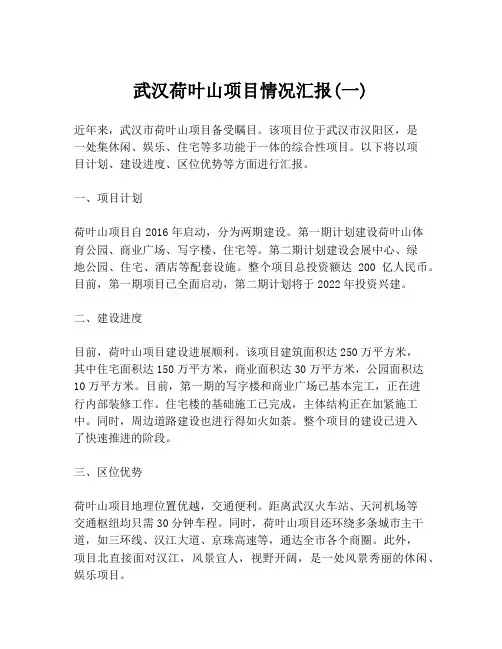 武汉荷叶山项目情况汇报(一)