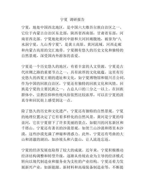 宁夏  调研报告