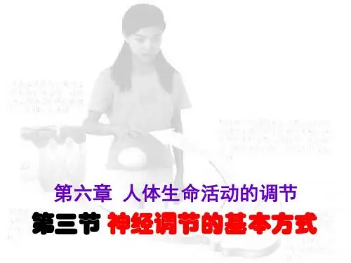  生物人教版七年级下册(新)63 神经调节的基本方式 课件(共16张PPT)