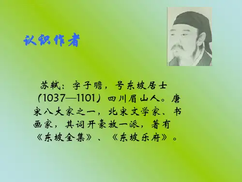 苏轼前赤壁赋ppt课件