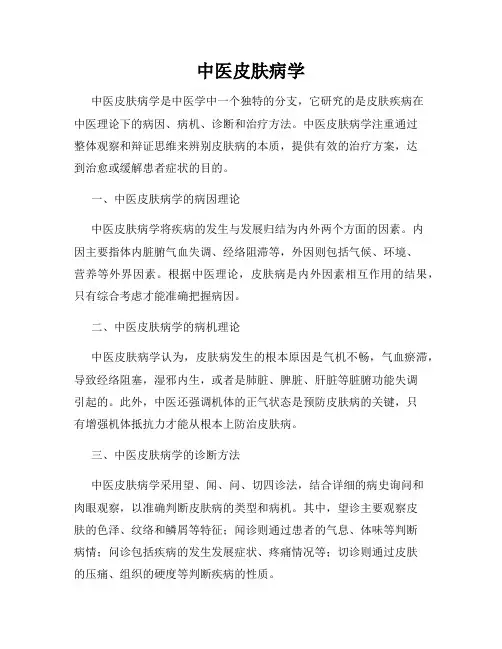 中医皮肤病学