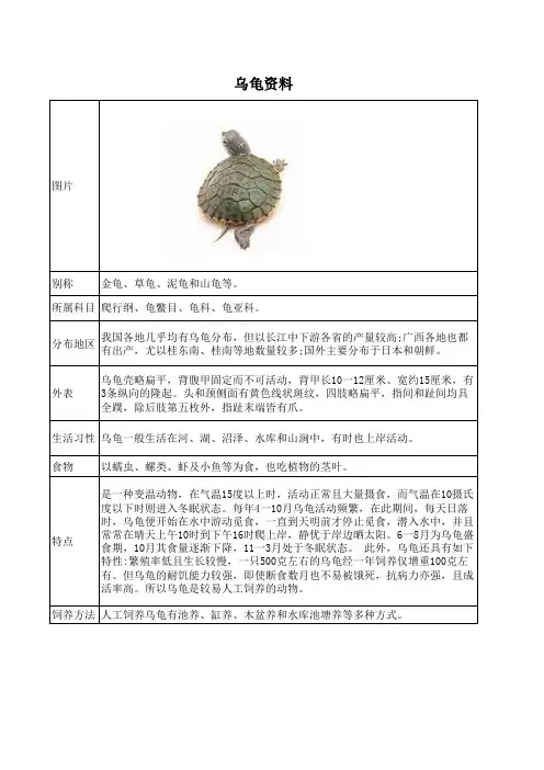 乌龟的资料