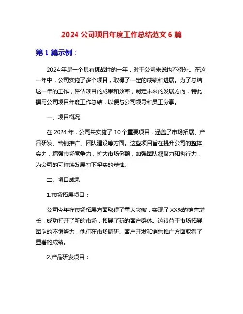 2024公司项目年度工作总结范文6篇