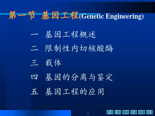 基因工程和基因组学-(2)PPT课件