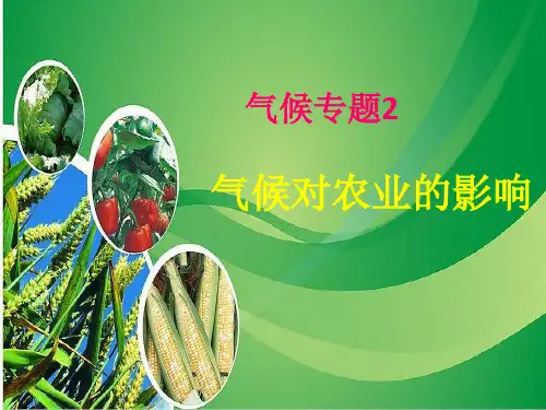 气候专题2-浙江省桐庐分水高级中学高三地理专题复习课件(共13张PPT)
