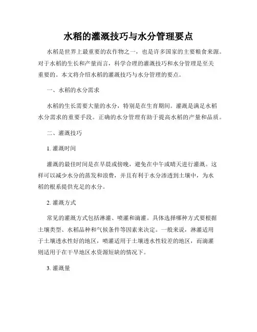 水稻的灌溉技巧与水分管理要点
