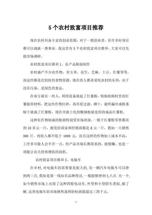 5个农村致富项目推荐