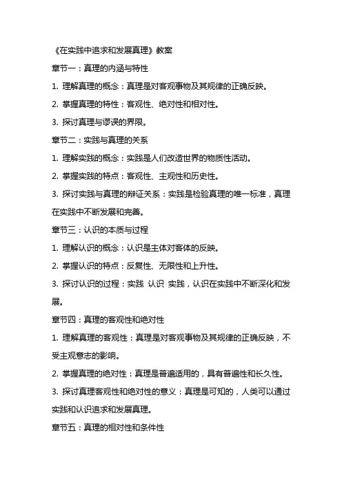 《在实践中追求和发展真理》教案