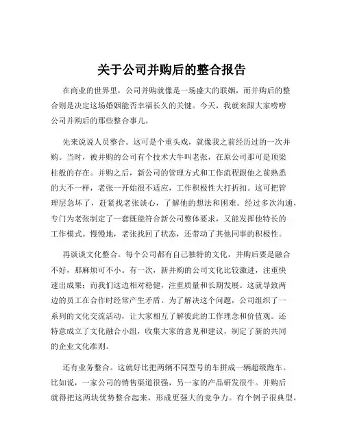 关于公司并购后的整合报告