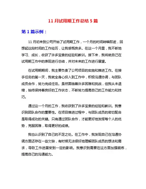 11月试用期工作总结5篇