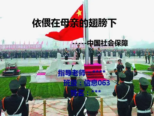 中国社会保障体系研讨(ppt 29页)PPT学习课件