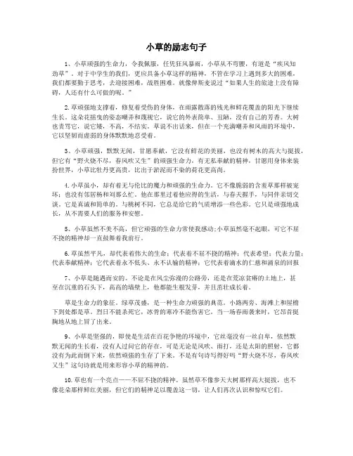 小草的励志句子