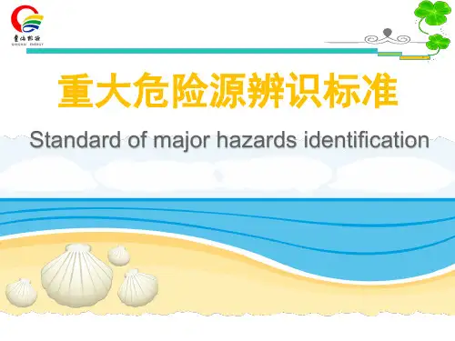 重大危险源辨识标准PPT课件