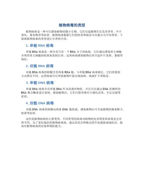 植物病毒的类型