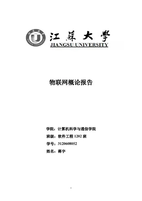 物联网概论报告