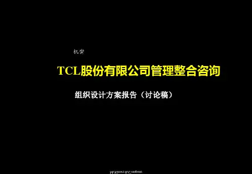 (东曌)TCL股份有限公司股份组织架构.ppt