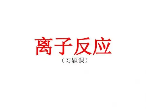 新人教版高三化学一轮复习课件《离子反应3》
