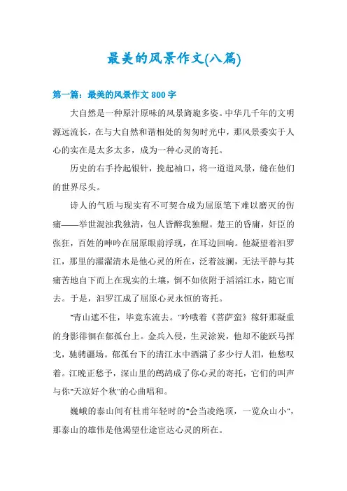 最美的风景作文(八篇)
