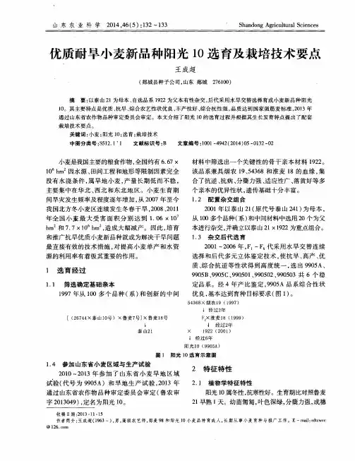 优质耐旱小麦新品种阳光10选育及栽培技术要点