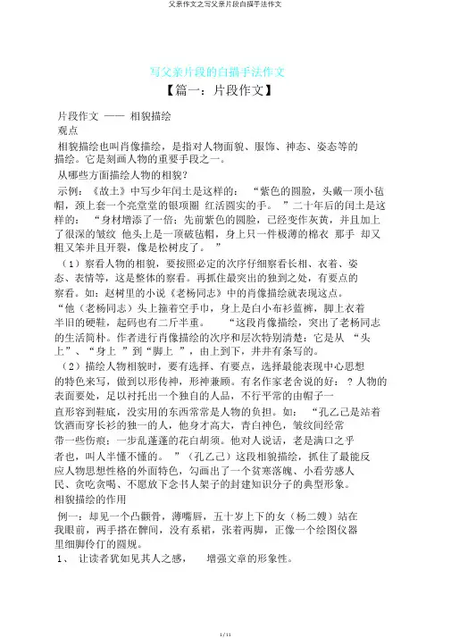 父亲作文之写父亲片段白描手法作文