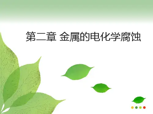 第二章 金属的电化学腐蚀