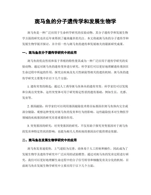 斑马鱼的分子遗传学和发展生物学