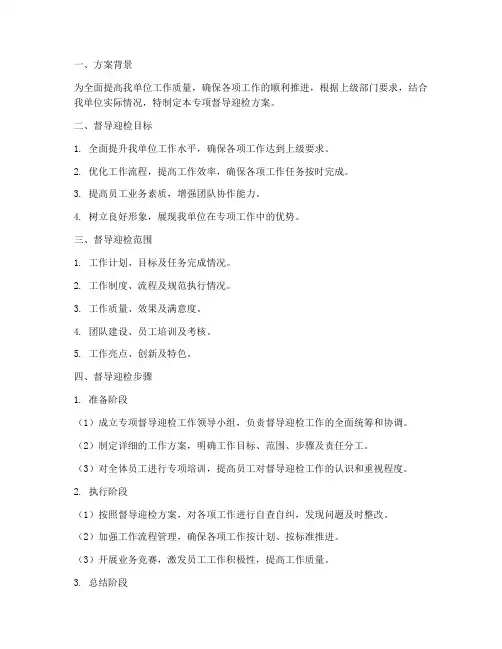 专项督导迎检_方案