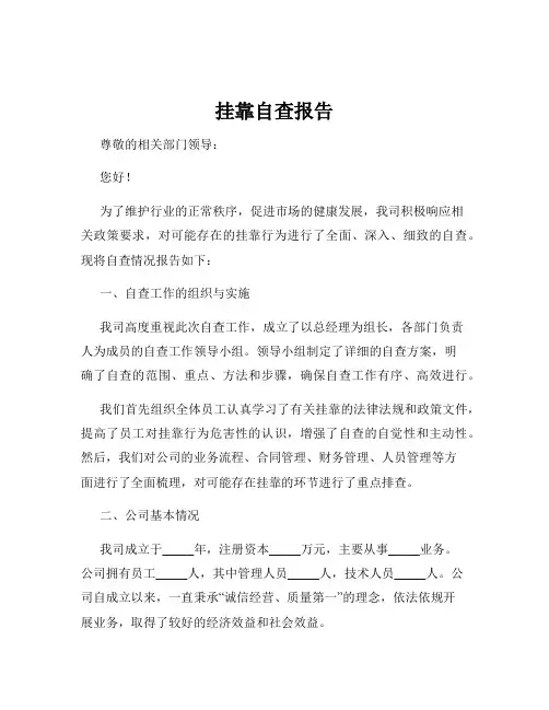 挂靠自查报告