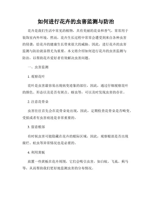 如何进行花卉的虫害监测与防治