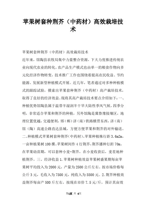苹果树套种荆芥（中药材）高效栽培技术