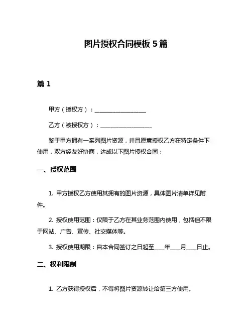 图片授权合同模板5篇