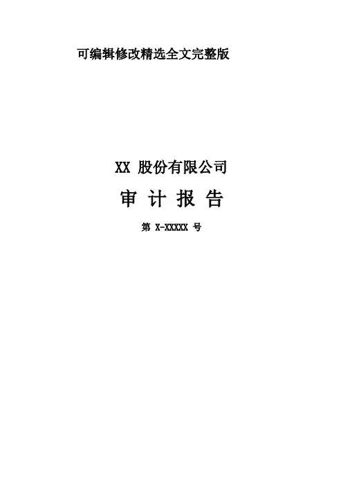 上市公司财务报表审计报告及附注模板精选全文