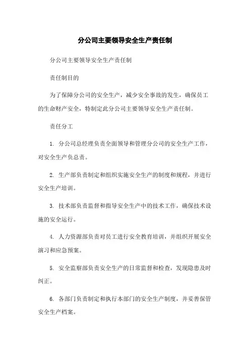分公司主要领导安全生产责任制