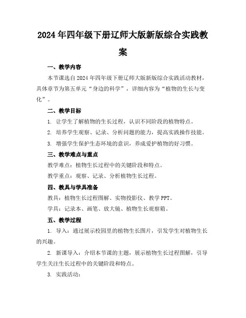 2024年四年级下册辽师大版新版综合实践教案