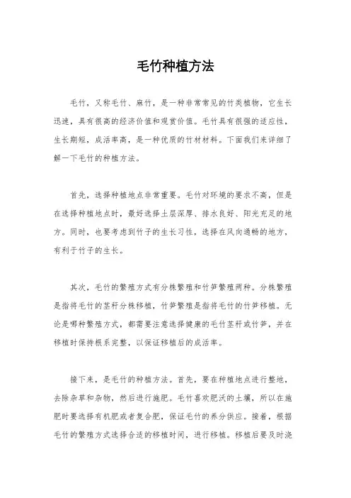 毛竹种植方法
