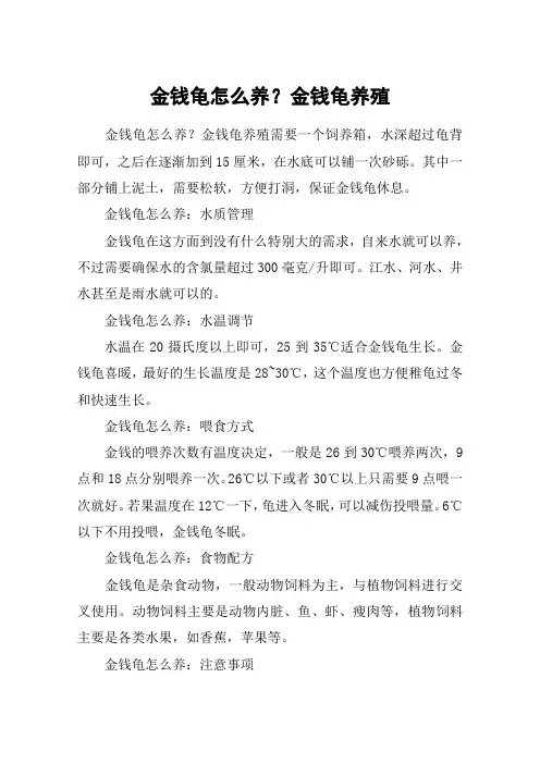 金钱龟怎么养？金钱龟养殖