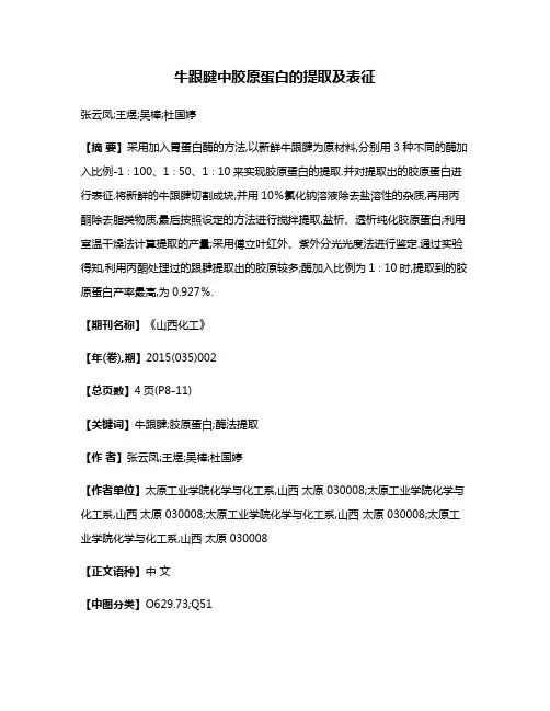牛跟腱中胶原蛋白的提取及表征