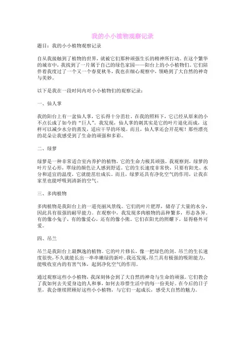 我的小小植物观察记录