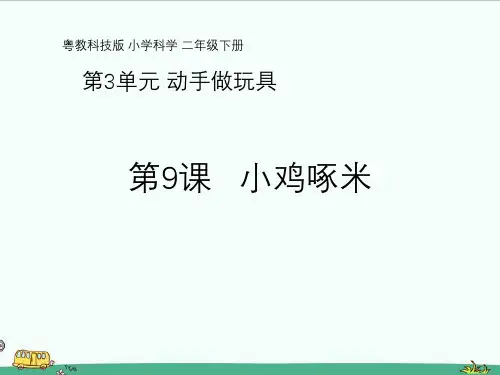 粤教粤科版科学二年级下册第9课《小鸡啄米》教学课件ppt
