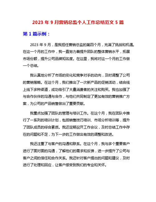 2023年9月营销总监个人工作总结范文5篇
