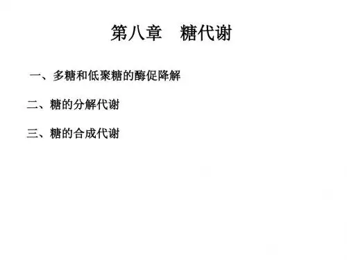 八章糖代谢-资料