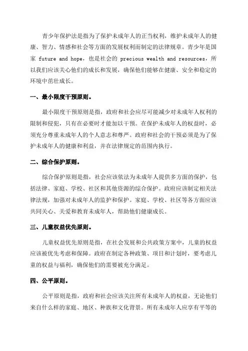 青少年保护法原则