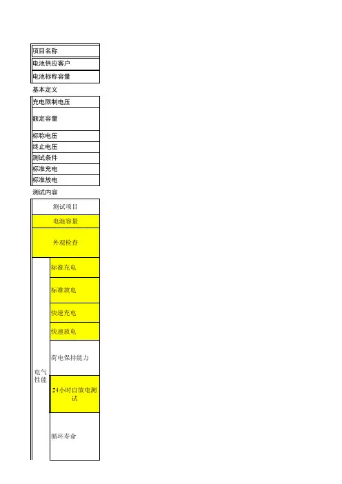 电池测试报告