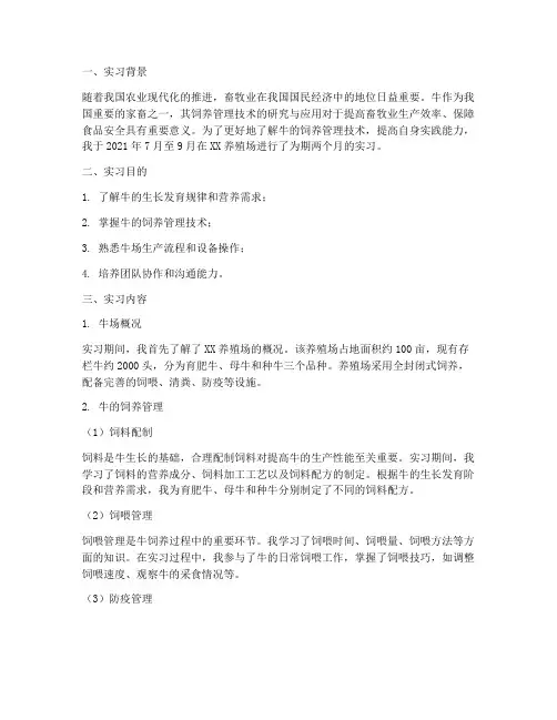 牛的饲养管理实习报告