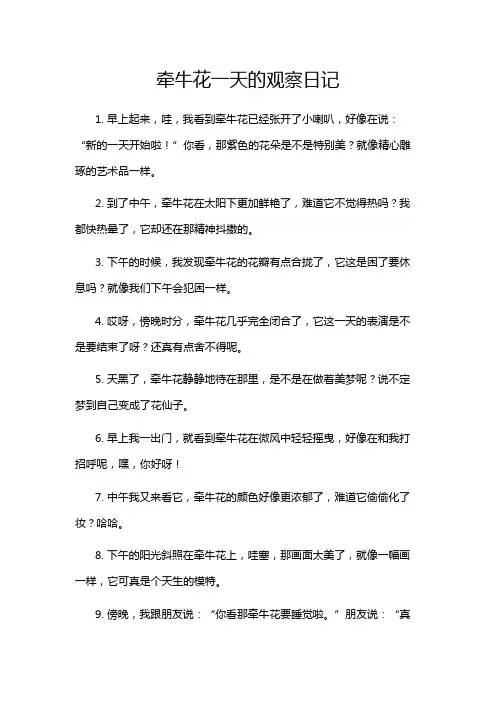 牵牛花一天的观察日记