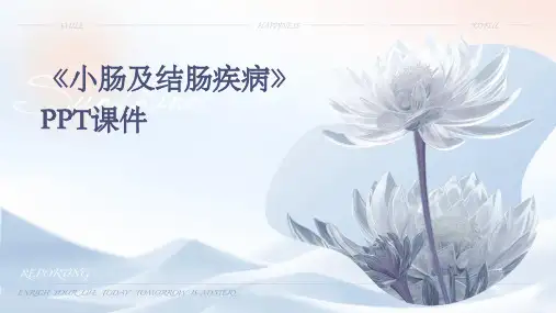 《小肠及结肠疾病》课件