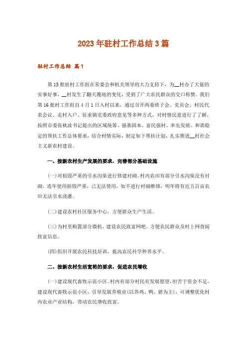 2023年驻村工作总结3篇_1