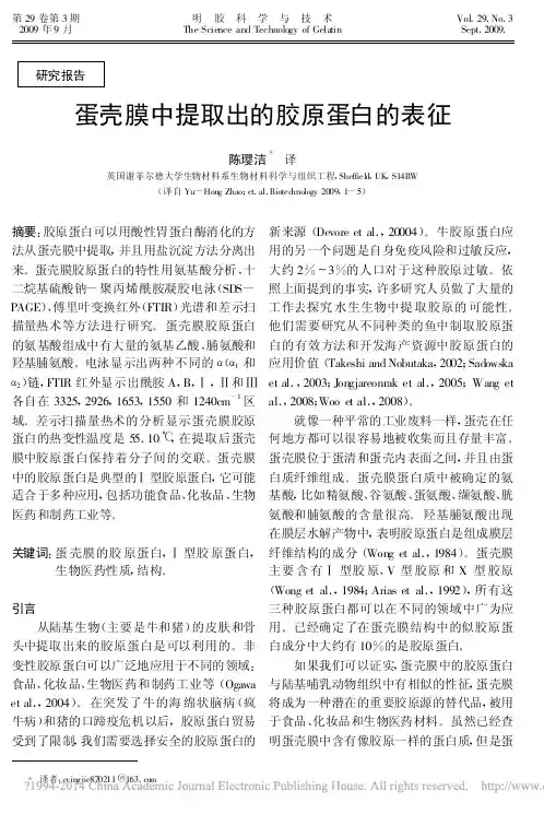蛋壳膜中提取出的胶原蛋白的表征_陈璎洁